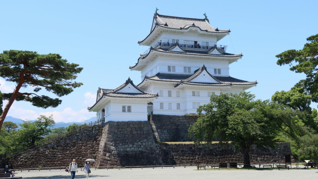 Impressive white, multi-tier Japanese castle perched on a stone base, surrounded by pines and a sunny blue sky in Odawara