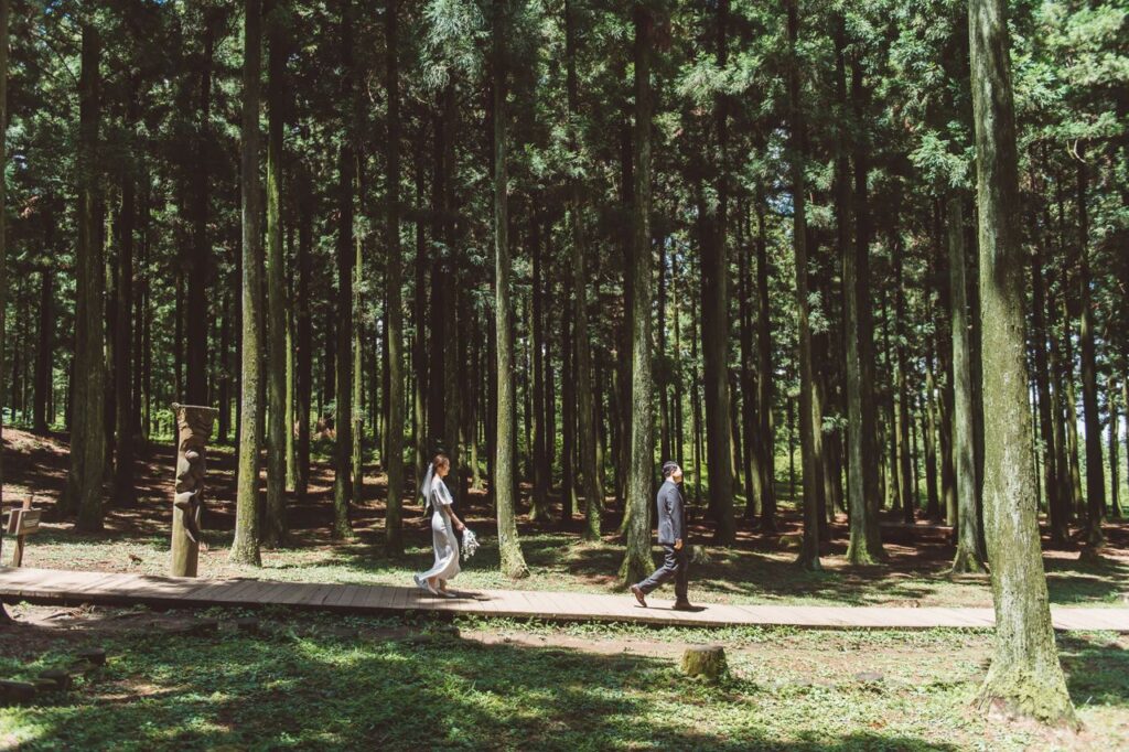 Couple walking along a wooden boardwalk in Karuizawa through a sunlit pine forest; bride in a light dress follows a man in a dark suit.