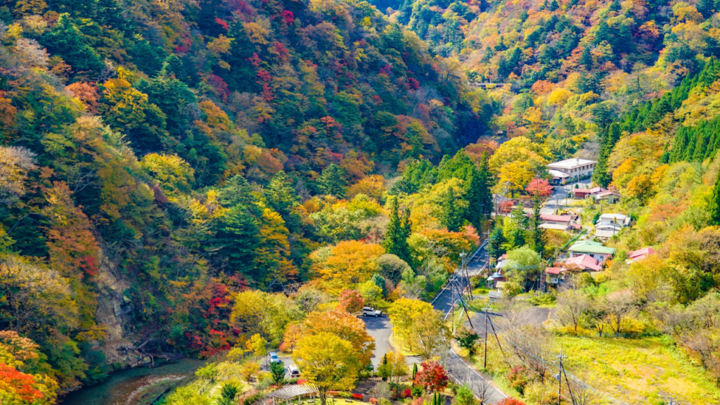 Vibrant autumn forest cloaks a winding valley road lined with small houses and utility poles, with a river at the base.
