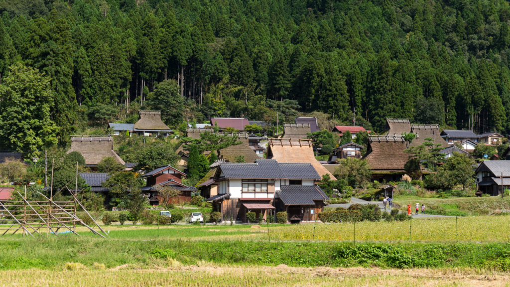 Traditional thatched-roof houses cluster in a rural Japanese village, surrounded by lush green fields and a dense forested hillside.