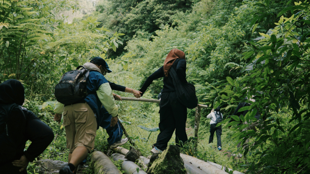Hikers cross a mossy log bridge through dense forest, backpacks and casual gear amid lush green foliage.
